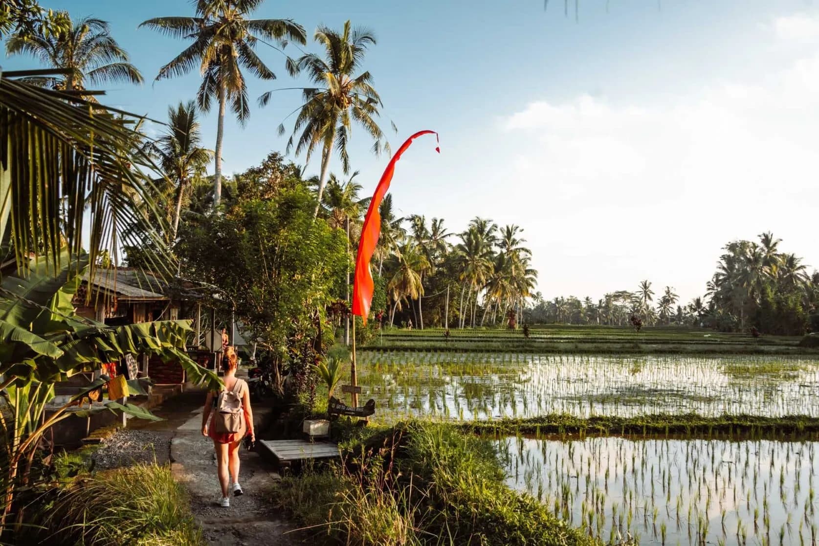 Contact Hero Background